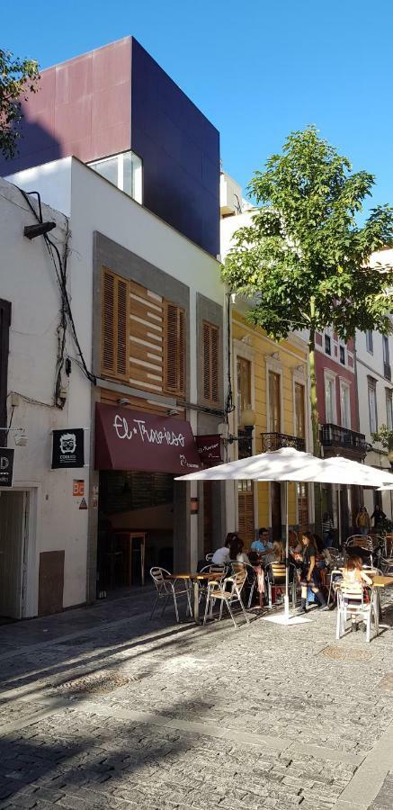 Lofts Msh Canarias Las Palmas de Gran Canaria Luaran gambar